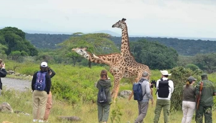 Arusha National park