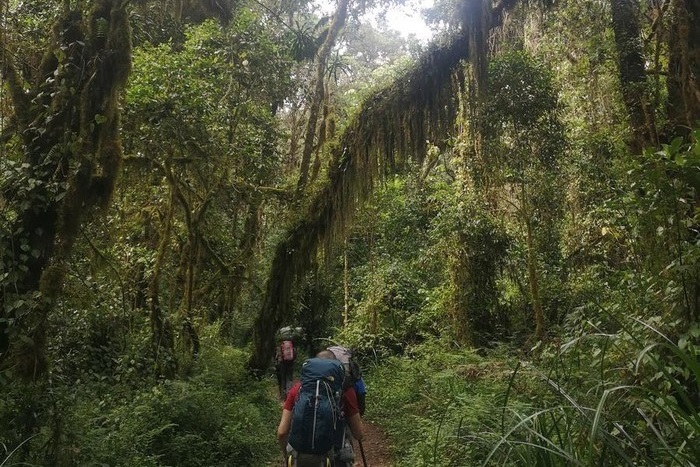 Machame Day Hike